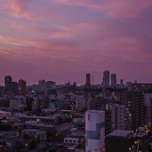 少妇作爱多人食品
